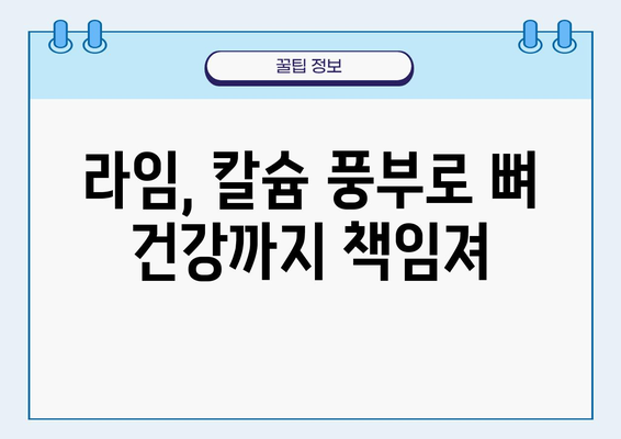 라임의 놀라운 효능| 비타민 C 풍부, 항염증 효과 탁월 | 건강, 과일, 면역력, 칼슘, 레몬, 비타민