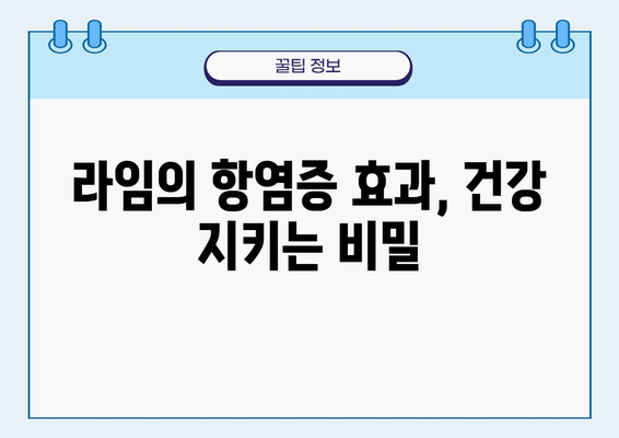 라임의 놀라운 효능| 비타민 C 풍부, 항염증 효과 탁월 | 건강, 과일, 면역력, 칼슘, 레몬, 비타민