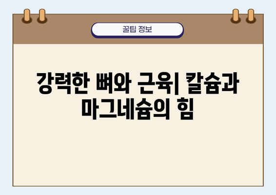 고용량 칼슘과 마그네슘| 뼈와 근육 건강을 위한 필수 영양소 | 뼈 건강, 근육 건강, 건강 관리, 영양 정보