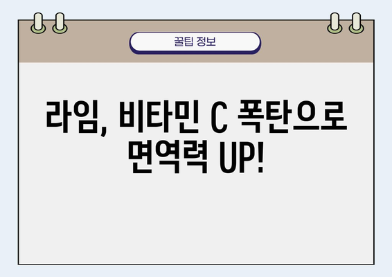 라임의 놀라운 효능| 비타민 C 풍부, 항염증 효과 탁월 | 건강, 과일, 면역력, 칼슘, 레몬, 비타민