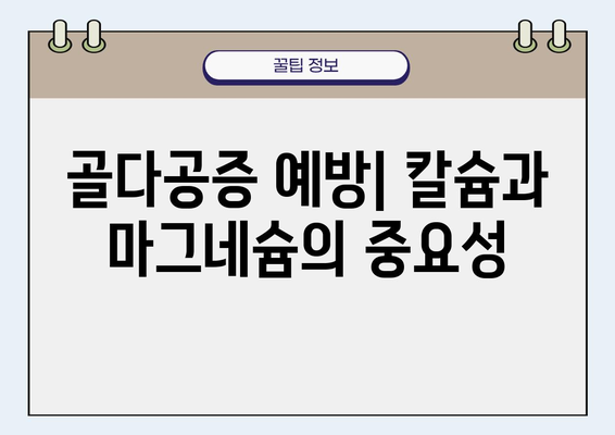 고용량 칼슘과 마그네슘| 뼈와 근육 건강을 위한 필수 영양소 | 뼈 건강, 근육 건강, 건강 관리, 영양 정보