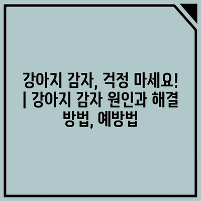 강아지 감자, 걱정 마세요! | 강아지 감자 원인과 해결 방법, 예방법