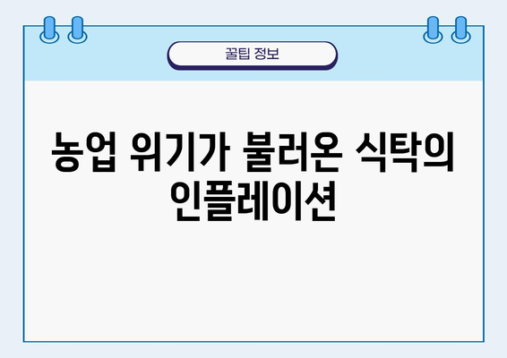 인플레이션과 기후변화의 악순환| 사과 가격 폭등의 비밀 | 농업, 식량 안보, 소비자 가격