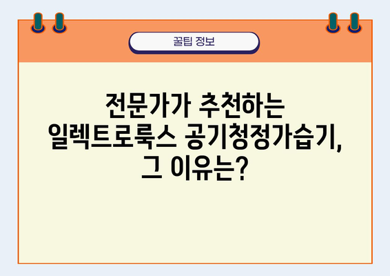 전문가 추천! 일렉트로룩스 공기청정가습기 리뷰| 숨쉬는 공기, 맑고 촉촉하게 | 공기청정, 가습, 일렉트로룩스, 제품 비교