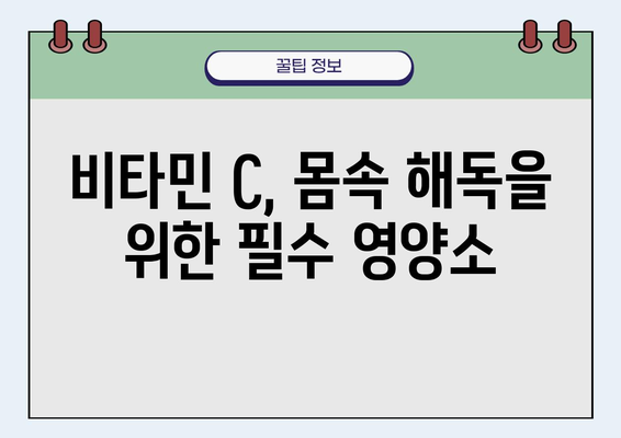 비타민 C로 몸속 해독 과정 지원| 건강한 삶을 위한 5가지 방법 | 비타민C, 해독, 건강, 면역력, 팁