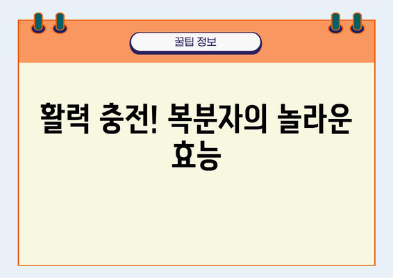 복분자의 놀라운 효능| 건강한 하루를 위한 특별한 선택 | 복분자 효능, 복분자 건강, 복분자 차, 복분자 섭취