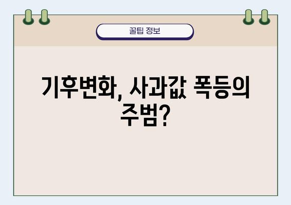 인플레이션과 기후변화의 악순환| 사과 가격 폭등의 비밀 | 농업, 식량 안보, 소비자 가격