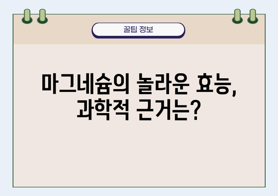 마그네슘 과대광고, 진실을 밝히다| 효능과 부작용, 섭취 가이드 | 마그네슘, 건강, 영양제, 과학적 근거