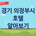 경기 의정부시 호텔 괜찮은 숙박 업체 추천 4가지, 여행 야외수영장