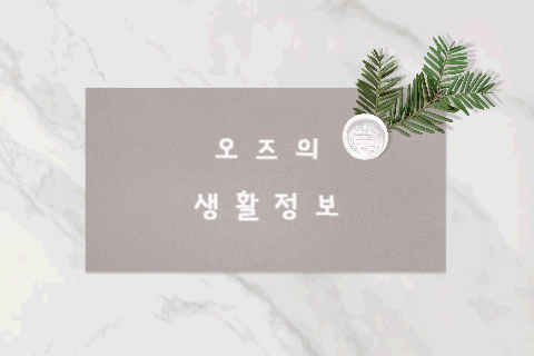 경이로운 MZ세대 픽! 신상 복합문화공간 전격 해부