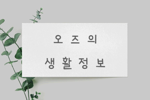 서울 밤하늘을 수놓는 아름다움, 노을 & 야경 명소 탐험!