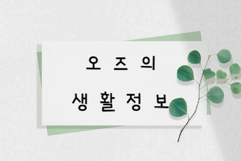 제주 유채꽃 명소, 봄나들이 가볼 만한 곳 3